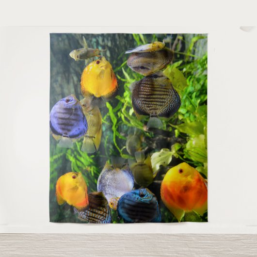 TENTURE FOND DE DÉCOR POUR POISSONS MAGNIFIQUES (Devant)