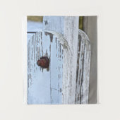 Tenture Fond de photographie en bois blanc rustique (Devant)