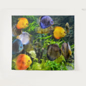 TENTURE FOND DE SCÈNE DE POISSONS MAGNIFIQUES (Devant (Horizontal))