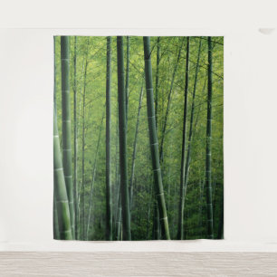Tenture Fond ou décor de forêt vert profond
