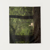 Tenture Forests | A White Tailed Deer in the Woods (Devant)