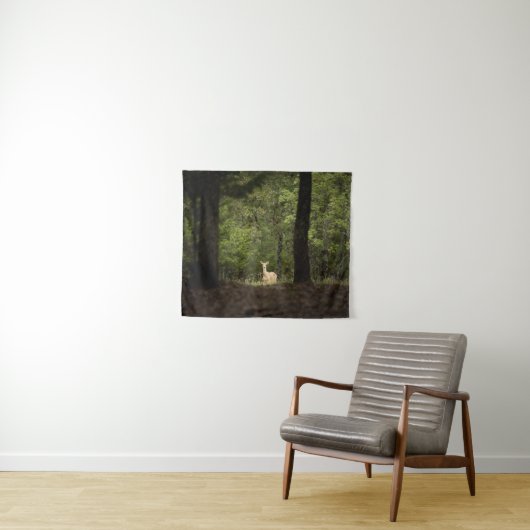 Tenture Forests | A White Tailed Deer in the Woods (En situation (horizontale))