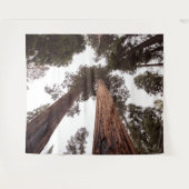 Tenture forêt, arbre (Devant (Horizontal))