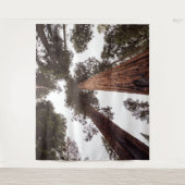 Tenture forêt, arbre (Devant)