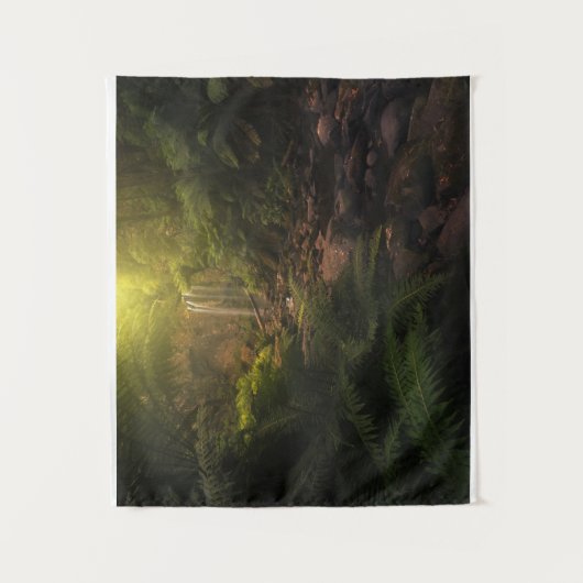 Tenture Forêt | Cascade Sunlight Highlights (Devant)