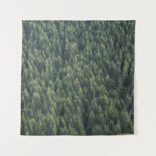 TENTURE FORÊT D'ARBRE DE PINS