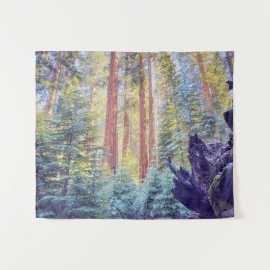 Tenture Forêt de Sequoia (Devant (Horizontal))