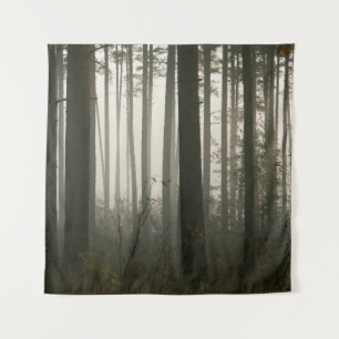 Tenture forêt et silhouettes des arbres dans la nature