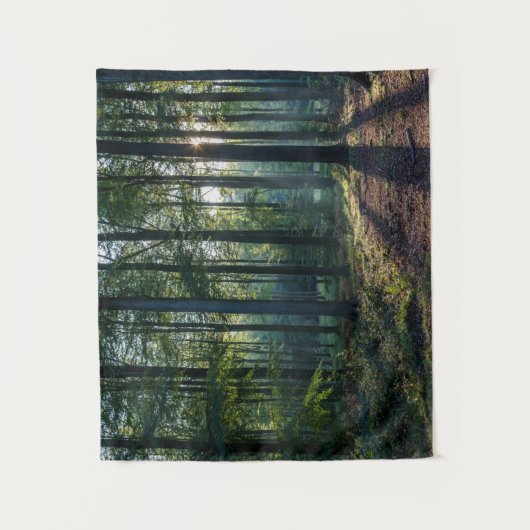 Tenture Forêt | Forêt Noire Allemagne (Devant)