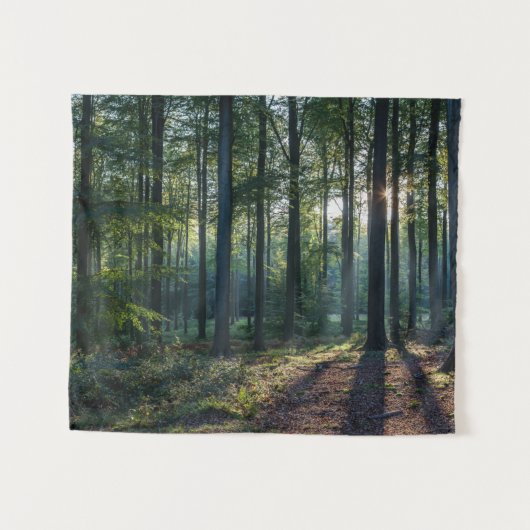Tenture Forêt | Forêt Noire Allemagne (Devant (Horizontal))