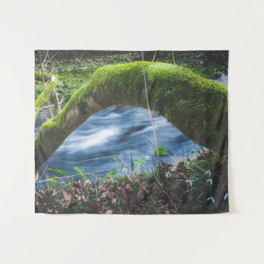 Tenture Forêt magique enchantée (Devant (Horizontal))