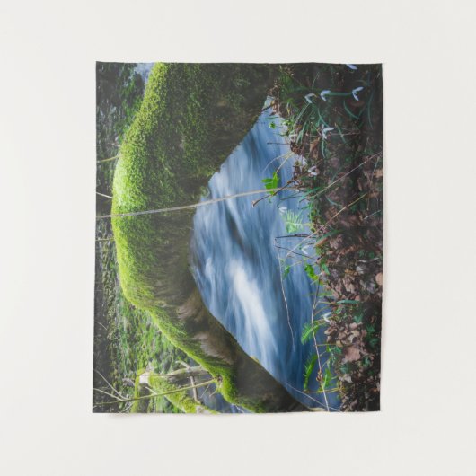 Tenture Forêt magique enchantée (Devant)