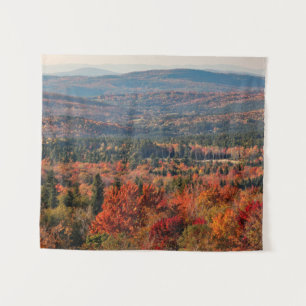 Tenture Forêt nationale de White Mountains New Hampshire