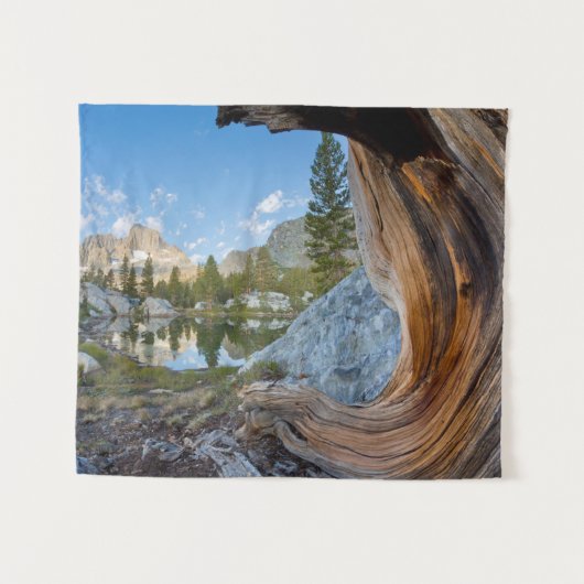 Tenture Forêt nationale d'Inyo, Californie (Devant (Horizontal))