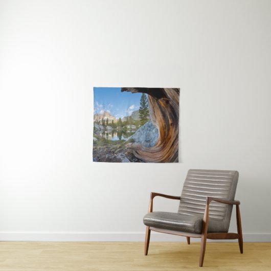 Tenture Forêt nationale d'Inyo, Californie (En situation (horizontale))