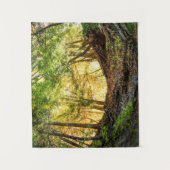 Tenture Forêts Sunset Woods Arbres Nature Petite Tapisseri (Devant)