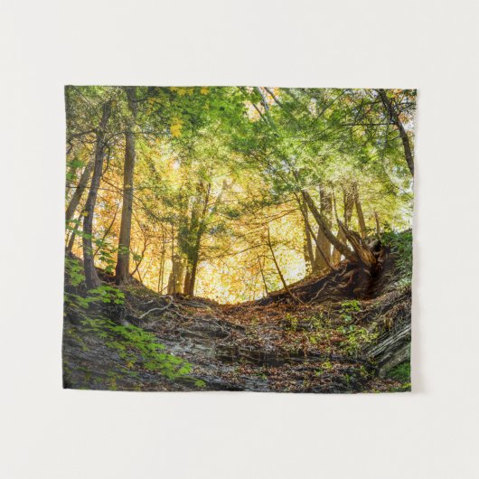 Tenture Forêts Sunset Woods Arbres Nature Petite Tapisseri (Devant (Horizontal))