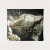 Tenture Fourrure Douce Et Douce Et Purée D'Un Chat Gris (Devant (Horizontal))