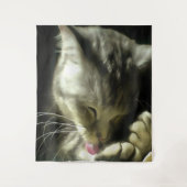 Tenture Fourrure Douce Et Douce Et Purée D'Un Chat Gris (Devant)