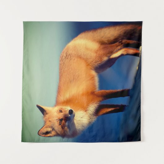 Tenture Fox (Devant)