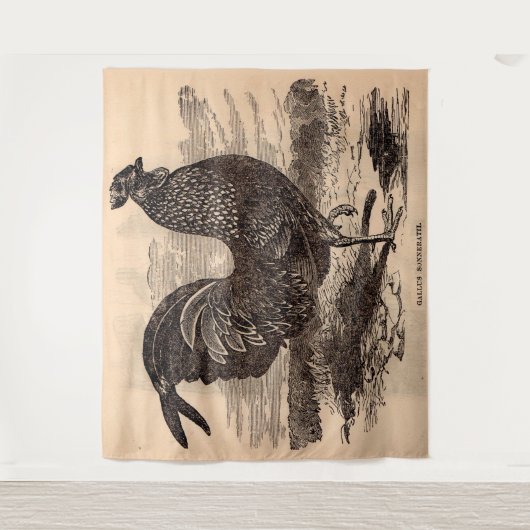 Tenture Galus Sonneratii du 19e siècle (Devant)