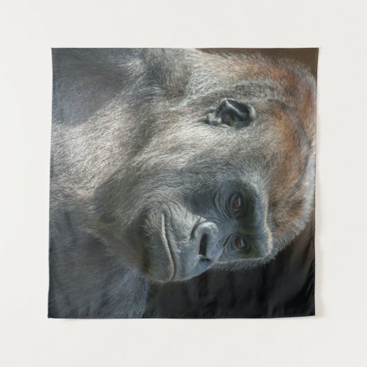 Tenture Gorilla Ozala (Devant (Horizontal))