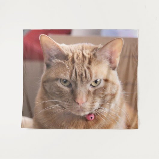 Tenture Grave (Devant (Horizontal))