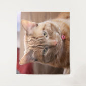 Tenture Grave (Devant)