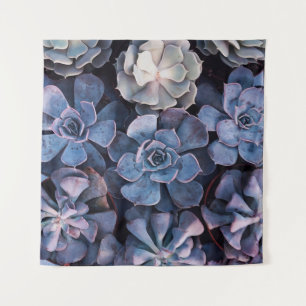 Tenture Gray succulents