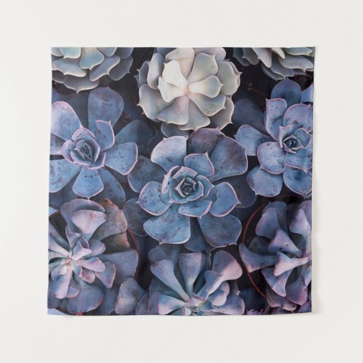 Tenture Gray succulents (Devant)