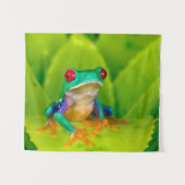 Tenture Grenouille aux yeux rouges, Costa Rica (Devant (Horizontal))