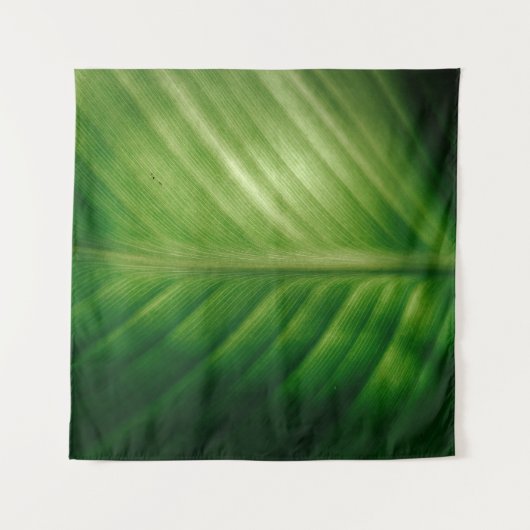 Tenture Gros plan des feuilles vertes (Devant)