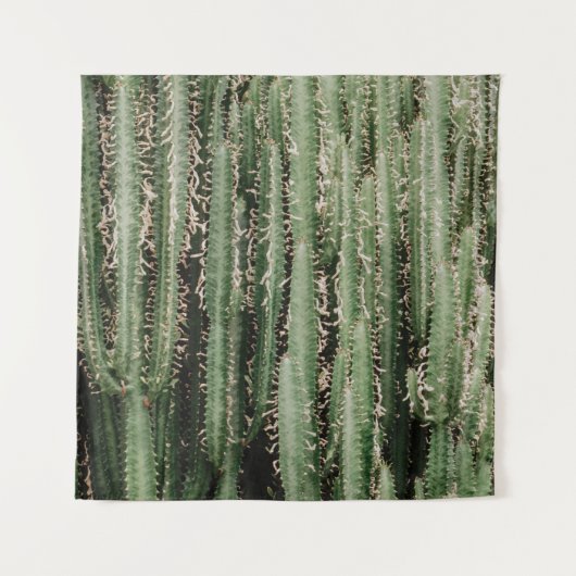 Tenture Gros plan du plante de cactus vert (Devant)