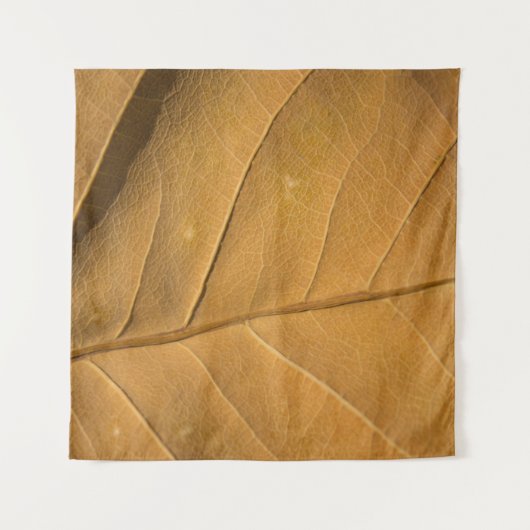 Tenture Gros plan texture abstraite de feuilles sèches arr (Devant)
