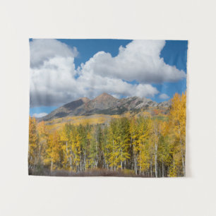 Tenture Gunnison National Forest, Colorado