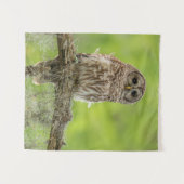 Tenture Hibou rayé sur branche d'arbre (Devant (Horizontal))
