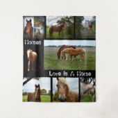 Tenture Huit Chevaux - Collarge De Photos, (Devant)