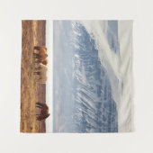 TENTURE ICELAND (Devant (Horizontal))