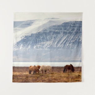 TENTURE ICELAND
