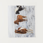 Tenture Icelandic Horse with Typical Winter Coat (Devant)