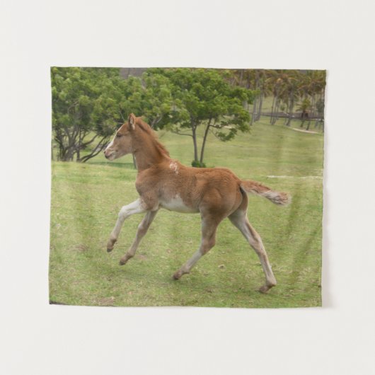 Tenture Île de Pâques alias Rapa Nui (Devant (Horizontal))