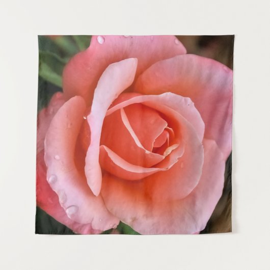 Tenture Impression d'art botanique Rose romantique (Devant (Horizontal))