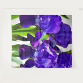 Tenture Iris Fleur Iris Violette (Devant (Horizontal))