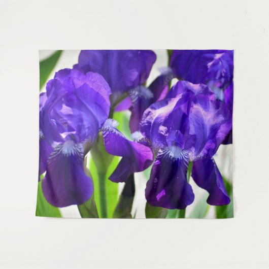 Tenture Iris Fleur Iris Violette (Devant (Horizontal))
