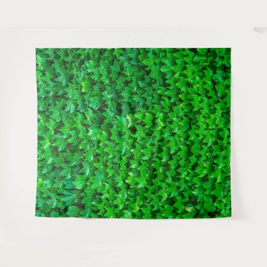 Tenture Ivy (Devant (Horizontal))