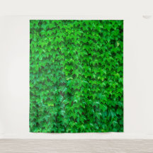 Ivy