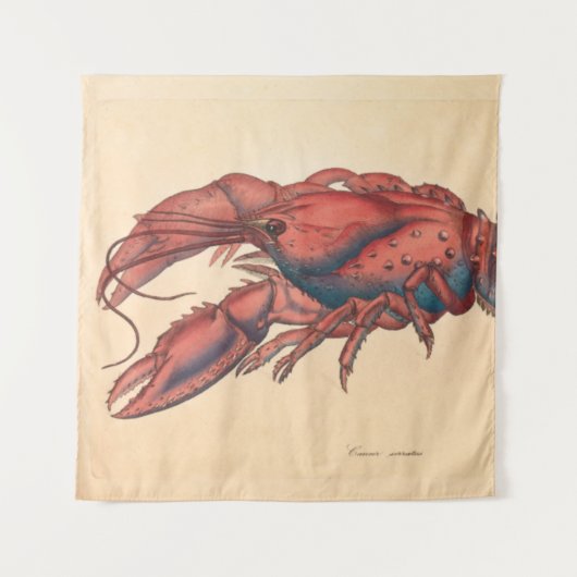 Tenture James Sowerby  Homard dentelé   (Devant)