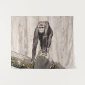 Tenture Jeune Gorille curieux (Devant (Horizontal))