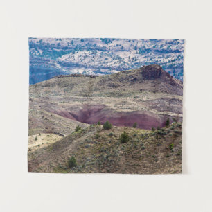 Tenture John Day Fossil Beds National Monument, Oregon