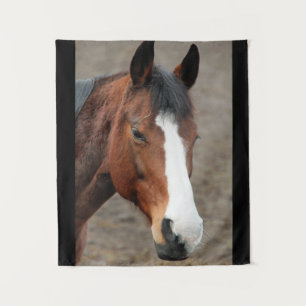 Tenture Joli visage de cheval
